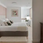 Mayor 7 By Feelfree * San Sebastián